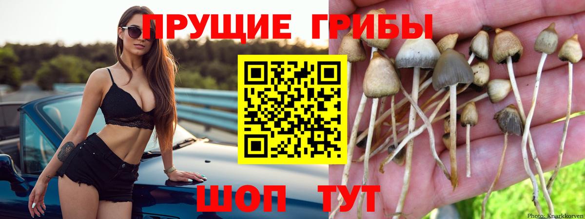 Галлюциногенные грибы Magic Shrooms  Галлюциногенные грибы Cubensis  Волжский  Вход с VPN 